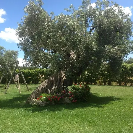 Agriturismo Li Damiani *