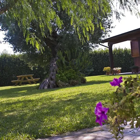 Çiftlik konaklama Agriturismo Li Damiani